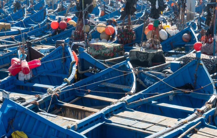 Casablanca to Marrakech tour