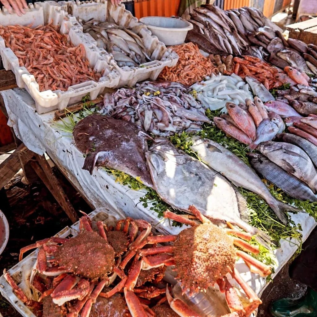 Morocco family trips